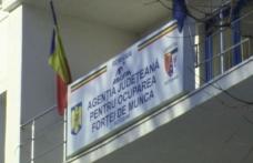 577 persoane angajate prin intermediul AJOFM Botoșani, în perioada ianuarie-februarie 2025