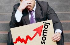 4,47% - Rata șomajului înregistrat în evidențele AJOFM Botoșani în luna februarie 2025