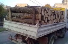Material lemnos fără documente de proveniență confiscat 