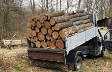 Material lemnos confiscat de polițiști la Ibănești