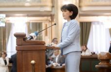 Constructor desemnat pentru Linia Electrică Aeriană de 400 KV care va traversa sudul județului
