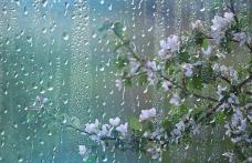 Meteorologii anunță ploi, lapoviță și ninsoare. Se răcește vremea!