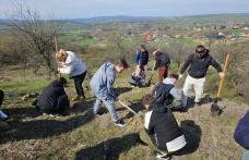 Colegiul Național „Grigore Ghica” Dorohoi - Amplă activitate de împădurire