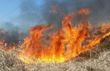 Incendii de vegetație uscată, stuf și furaje, în ultimele ore la Cucorăni, Roma și Concești