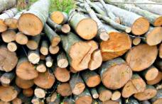 Material lemnos confiscat la Șendriceni