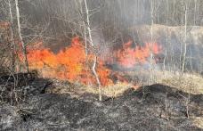 Două incendii de vegetație uscată și stuf, în Vinerea Mare, la Dersca și Vlăsinești