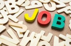 915 persoane angajate prin intermediul AJOFM Botoșani în perioada ianuarie - martie 2025