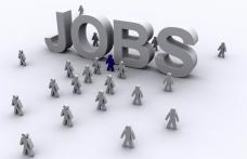 Peste 360 de locuri de muncă vacante la nivelul județului Botoșani