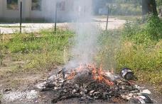 Amendă usturătoare pentru o femeie din Dorohoi care ardea materiale plastice și deșeuri vegetale