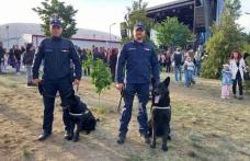 Zilele municipiului Botoșani 2025, în atenția jandarmilor