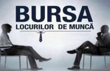 AJOFM Botoșani organizează Bursa Generală a Locurilor de Muncă 2025
