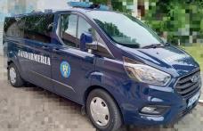 Patru tineri depistați de jandarmii botoșăneni având asupra lor substanțe cu efect psihoactiv