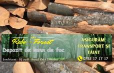 Rebo-Forest Șendriceni - Depozit de lemn de foc