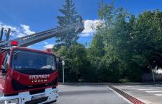 Pompierii au intervenit pentru tăierea unui copac aflat în pericol de prăbușire pe o stradă din Dorohoi
