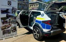 Compartimentul de poliție canină – Dotări moderne pentru intervenții eficiente