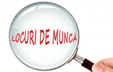 Locuri de muncă vacante și programe de formare pentru care se organizează înscrieri în săptămâna 2-8 iunie la Botoșani
