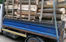 Dosare penale și material lemnos confiscat pe mai multe drumuri din județ
