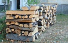 Polițiștii din Bucecea au recuperat 4 metri cubi de material lemnos sustras din cadrul Cantonului Silvic „Găvan”