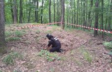 Element de muniție găsit într-o pădure din județ