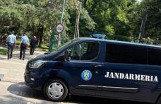 Tâlhărie oprită la timp de un echipaj de jandarmerie