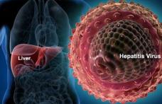 Virusuri hepatitice mai puțin cunoscute