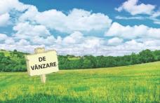 Teren de vanzare