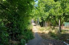 Primim la redacție – „Creați zone mai sigure pentru cetățenii municipiului” - FOTO