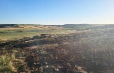 Pompierii din Botoșani în alertă! Două incendii de vegetație uscată lichidate în ultimele ore