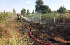 Pompierii au intervenit pentru stingerea a trei incendii de vegetație uscată în ultimele 24 de ore