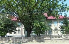 CONTED Dorohoi angajează electrician, fochist și constructor șabloane – industria textilă