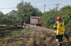 În ultimele ore pompierii au intervenit pentru stingerea a nouă incendii de vegetație uscată