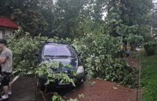 Efectele furtunii care a măturat județul! 29 de apeluri la 112 înregistrate până la această oră - FOTO