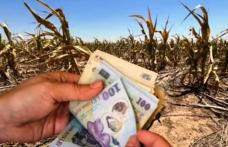 Atenție fermieri! Actul trebuie depus la Primărie până pe 1 august. Riști să pierzi banii dacă nu îl ai