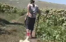 Anchetă a Poliției Animalelor în cazul femeii filmate în timp ce târâia un cățel legat