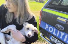 84 de ani are femeia filmată în timp ce târâia un cățel legat. Polițiștii a identificat-o și au amendat-o