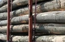 Material lemnos confiscat la Ibănești