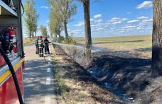 Incendiu izbucnit pe marginea drumului între Flămânzi și Prăjeni. Pompierii au intervenit