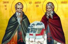 SINAXAR – 7 Septembrie – Sf. Cuv. Simeon şi Amfilohie de la Pângăraţi; Sf. Mc. Sozont