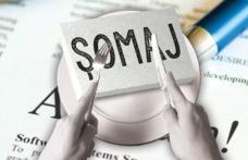 3,69% - rata şomajului înregistrat în evidenţele AJOFM Botoșani în luna iulie 2025