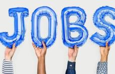 AJOFM Botoșani: Locuri de muncă vacante în Uniunea Europeană. Vezi detalii!