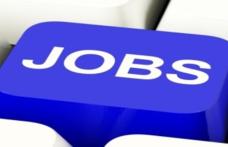 Locuri de muncă vacante și programe de formare pentru care se organizează înscrieri în săptămâna 1-7 septembrie la Botoșani