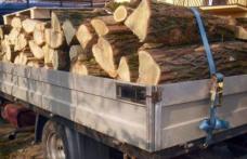 Material lemnos confiscat de către polițiști la Vlăsinești