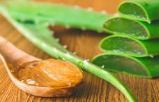 Beneficii și utilizări pentru sănătate ale Aloe Vera
