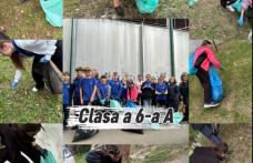 UAT Municipiul Dorohoi a răspuns „Prezent!” acțiunii „Let’s Do It, România!”