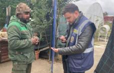 Continuă controalele polițiștilor de imigrări Botoșani