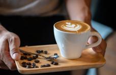 Primăria Dorohoi: Anunţ licitaţie pentru închirierea unui spațiu în vederea amplasării unui modul de cafea