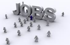 Locurile de muncă vacante la nivelul județului Botoșani - 20.10.2025