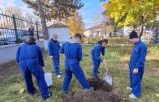 „Plantăm speranță în pământ și culoare pe hârtie” – activitate a Școlii Profesionale Speciale „Ion Pillat” Dorohoi