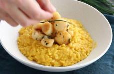 Risotto cu St Jacques și șofran