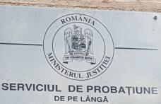 Activități pentru promovarea integrității desfășurate în colaborare cu Serviciul de Probațiune Botoșani
